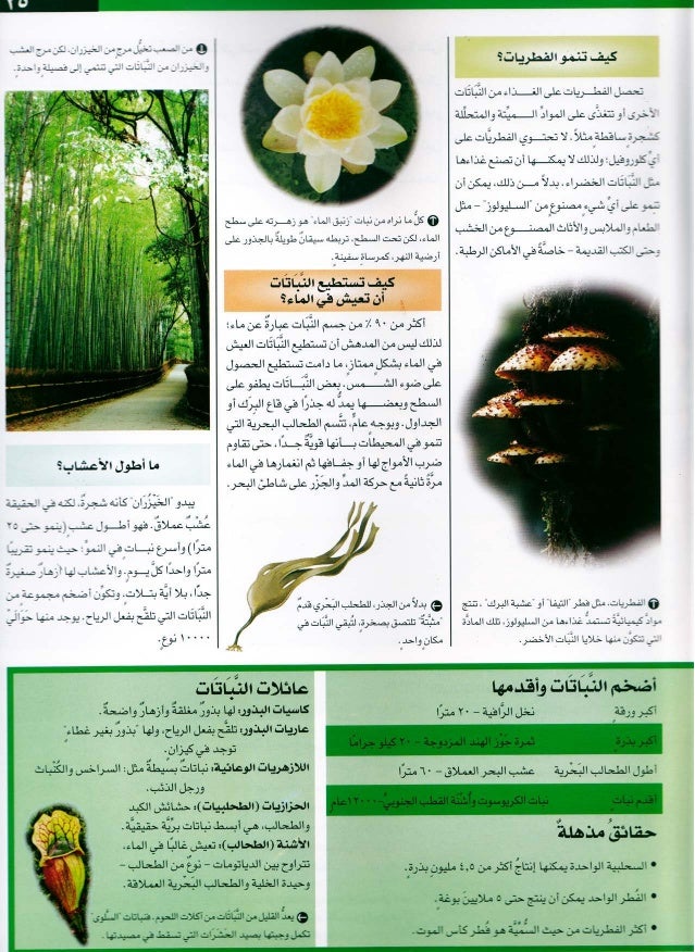 موسوعة سؤال وجواب عالم الطبيعة