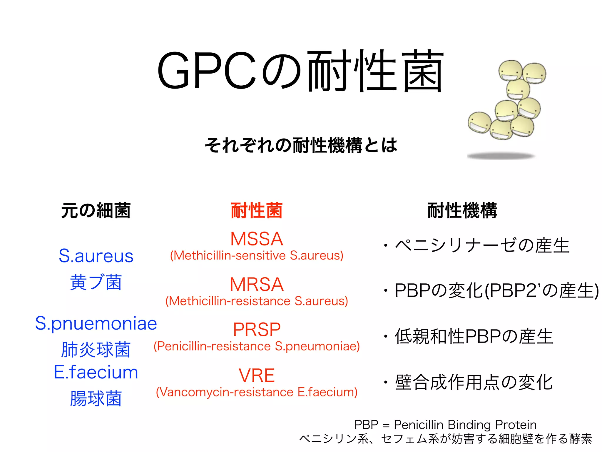 グラム陽性球菌詳細
属 代表菌 常在性 主な感染症
ブドウ球菌
Staphylococcus
S.aureus
黄色ブ菌
○
皮膚
鼻腔
皮膚軟部組織感染(SSTI) I.E.
菌血症 カテ感染 静脈炎 骨髄炎
(喀痰培養のMRSAはほとんどが定着)
S.epidermidis
表皮ブ菌
連鎖球菌
Streptococcus
S.pneumoniae
肺炎球菌
○
咽頭
皮膚
肺炎、中耳炎、髄膜炎
市中肺炎の起炎菌1位！
S.pyogenes
A群溶連菌
咽頭炎、壊死性筋膜炎
腸球菌
Enterococcus
E.faecalis ○
腸管
尿路感染、腹腔内*、感染性心内膜炎
(基本的に弱毒菌)E.faecium
*腹腔内感染への関与は不明
 