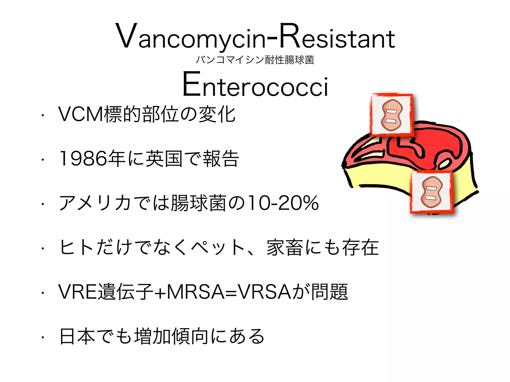 分類 通称 菌名 主な感染症 抗菌薬
A群
Group A
A群溶連菌
GAS 
Group A Streptococci
S.pyogenes
咽頭炎 とびひ*
壊死性筋膜炎
PCG or ABPC 
＋ CLDM
CLDMは毒素産生抑制、
分裂段階の菌にも効果
的で菌量に効果が左右
されない活性、優れた
組織移行性を期待して
併用されます
B群
Group B
B群溶連菌
GBS
Group B Streptococci
S.agalactiae
産道感染からの
新生児髄膜炎
C/G群 C/G群溶連菌 S.dysgalactiae
基礎疾患ある患者の
皮膚感染症
β溶血性連鎖球菌
「基本的にPCG感受性で、耐性の報告はほとんどありませんが、
これらの皮膚軟部組織感染は重症化しやすく注意が必要です」
*伝染性膿痂疹：S.aureusも起因菌
 