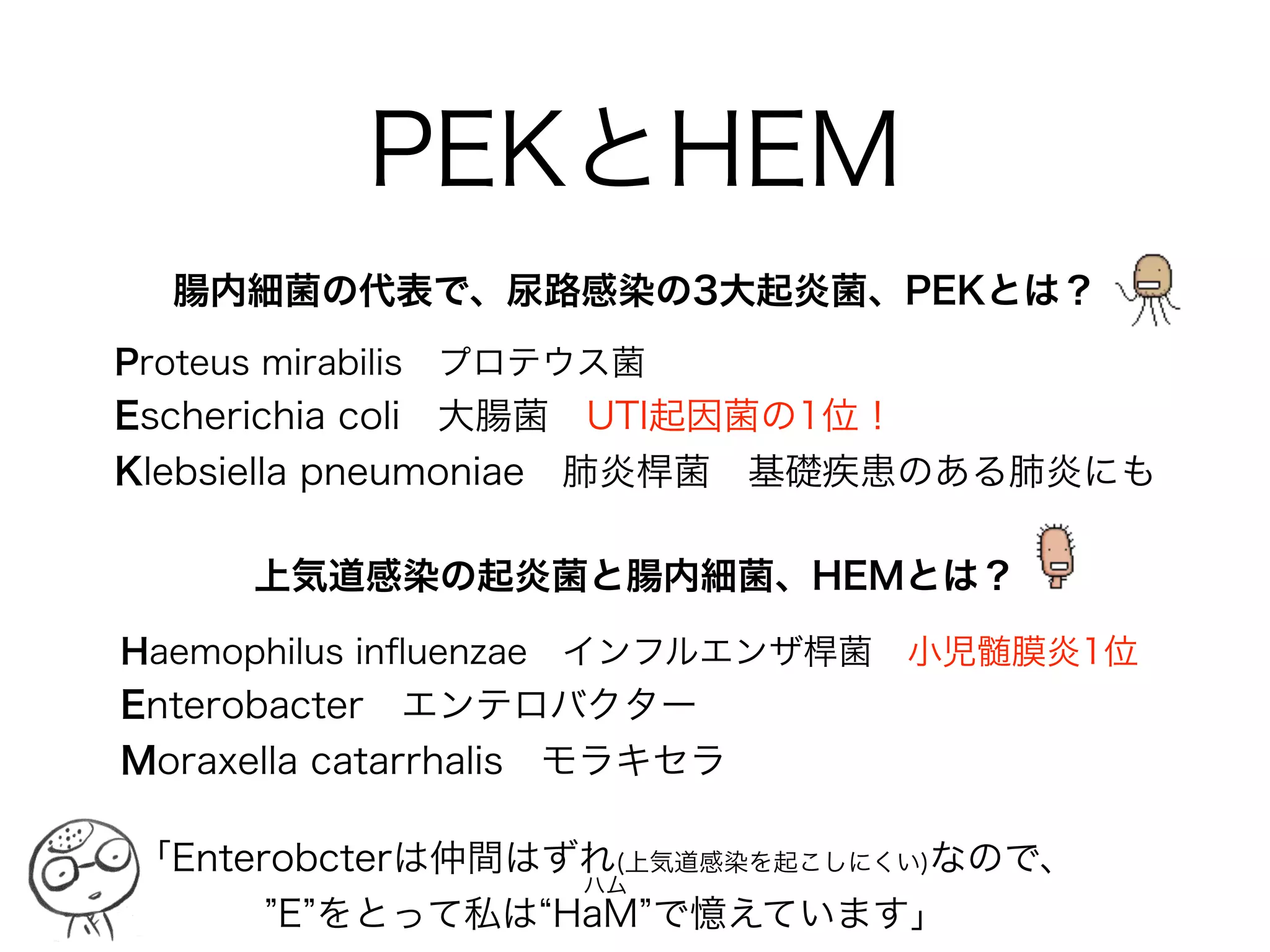 腸球菌属の感受性は注意
• セフェム系は 1st～4th 全て無効
• LVFX:S ST:Sでも、尿路感染 のみ効果あり
• IPM/CS:Sでも、他のカルバペネムは効果弱い
• E.faecalisの第一選択薬は PCG or ABPC
• E.faeciumの第一選択薬は VCM
• VCM耐性腸球菌の第一選択薬は LZD
• 心内膜炎では GM を併用(1mg/kg x3) 
ただし高度耐性試験を実施しMIC(<500)を確認
クラビット
チエナム
ゲンタシン
Enterococcus spp
バクタ
 