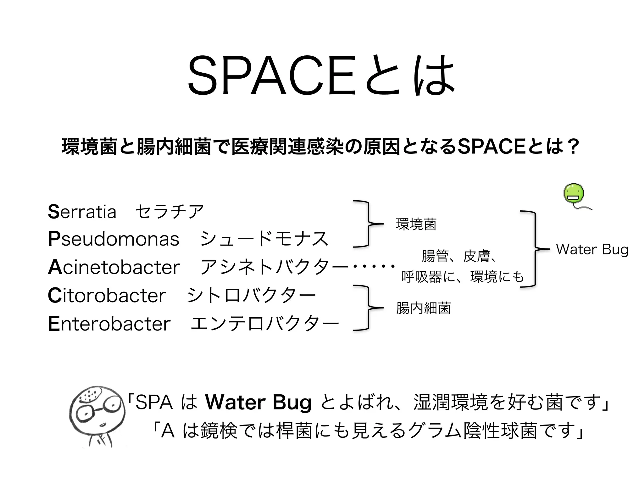 抗MRSA薬
骨髄炎 8週間 6-8mg/kg
髄膜炎 14日間
TDM 10-15 15< <2
目標濃度 重症:15-20 重症:20-30 高齢者:<1
(μg/mL) ピーク 設定なし 設定なし 15-20
通常の 1g 負荷投与 5mg/kg 600mg 4-6mg/kg
用法用量 x2-3 必要 x1 x2 x1
必ず1時間 初日は最低 理想体重 内服も 実体重
以上で点滴 600mg x2 で計算 同用量 で計算
CLcr×25 負荷投与量 CLcrが体重の 腎機能
↑分1-2へ 40-80 1/2未満なら ごとの
腎機能別 ＜20 600mgx2 2TD 2日に1回 用法用量 <30
用法用量 500-750mg 20-40 1/3未満なら 調節不要 4-6mg/kg
*薬剤部にて 2日に1回 500mgx2 2TD 3日に1回 2日に1回
投与設計を 10mg/kg 初日は最低 投与は 8mg/kg
行っています x1* 600mg x2 推奨で 2日に1回*
10mg/kg その後は きない 4-6mg/kg
HD後に* TDMで決定 HD後に
腎障害 肝障害 腎障害 汎血球減少 CK上昇
500mg 200mg 200mg 600mg 350mg
¥1,701 ¥3,895 ¥3,379 ¥17,779 ¥13,154
*DAPの溶解方法等について
*VCM透析時:初回のみ15-20mg/kgの投与OK
TDMは不要
HD
トラフ
*DAP:CHDFの投与方法は海外の報告
CHDF
CLcr<80
腎機能低下
例では副作
用出やすい
報告あり
CLcr>80
備考
主な副作用
1V含量
*VCM, TEIC, ABKは初期投与設計を行っています。薬剤師に連絡を。
薬価
MRSA感染症の治療ガイドライン2014の第一選択薬
MRSA感染症の治療ガイドライン2014の代替薬
MRSA感染症のガイドラインの第1選択
MRSA感染症のガイドラインの第2選択
1-1.5g
x2
 