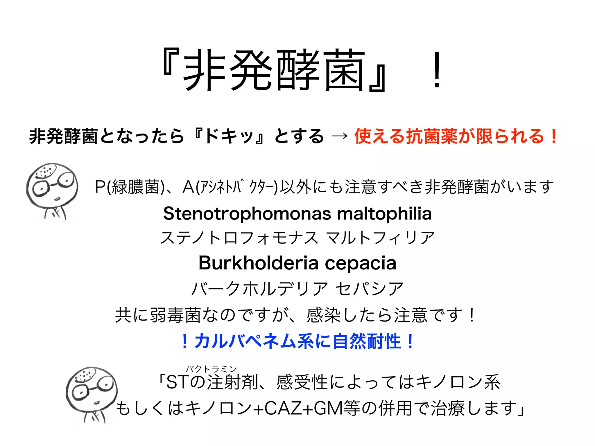 HaMの「M」
Moraxella catarrhalis
• グラム陰性の双球菌で、Branhamella catarrhalis と呼ば
れることもある。
• 小児(-75%)の鼻腔内/咽頭に定着しており、小児中耳炎の
3大起因菌の1つ(H.inﬂuenzae, S.pneumoniae)である。
• 成人での定着は少ない(1-3%)が、COPD急性増悪の起因菌
の1つで、頻度は H.inﬂuenzae に次ぐ。
• 基本的にペニシリナーゼを産生するため、PCGとABPCに
は耐性を示す。
モラクセラ カタラーリス
ブランハムラ
 