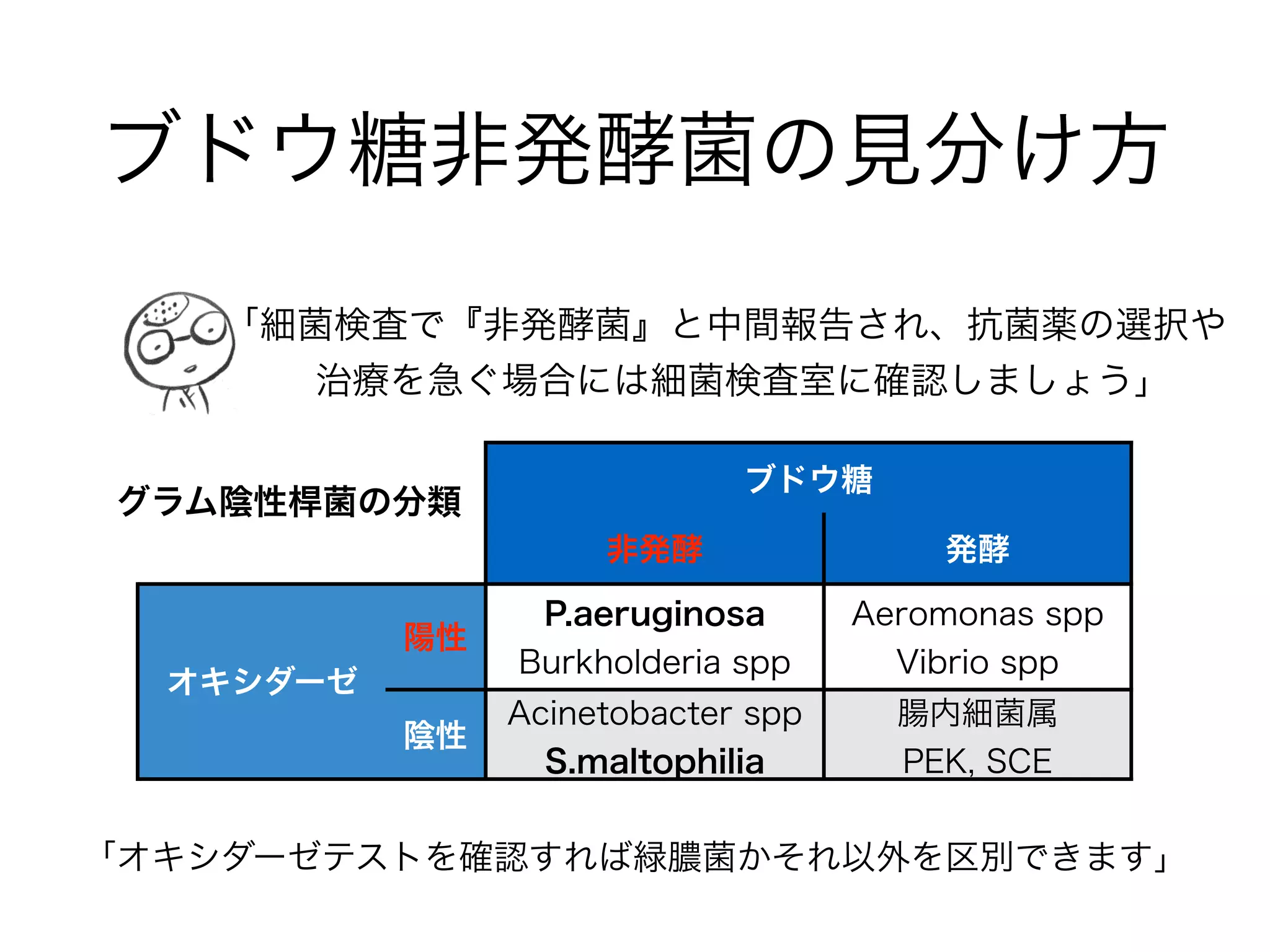 HaMの特徴と抗菌薬
細菌名 主な感染症 主な抗菌薬 注意
Haemophilus
inﬂuenzae
乳児:髄膜炎(Hib)
小児:中耳炎 副鼻腔炎
成人:COPD急性増悪*
髄膜炎:CTX or CTRX
その他注射:SBT/ABPC
内服:CVA/AMPC
BLNAR株に
注意
Moraxella
catarrhalis
小児:中耳炎 副鼻腔炎
成人:COPD急性増悪*
注射
SBT/ABPC or CTM
内服
CVA/AMPC or CCL
基本的に
ペニシリナーゼ
産生
「HaMはPEKと異なり、腸内細菌科の細菌ではありません。
喉に生息して、特に小児での感染症で注意が必要です」
*細菌性ばかりでなくウイルス性、環境もある
クラフォラン ロセフィン
ユナシン
オーグメンチン
パンスポリン
ケフラール
 