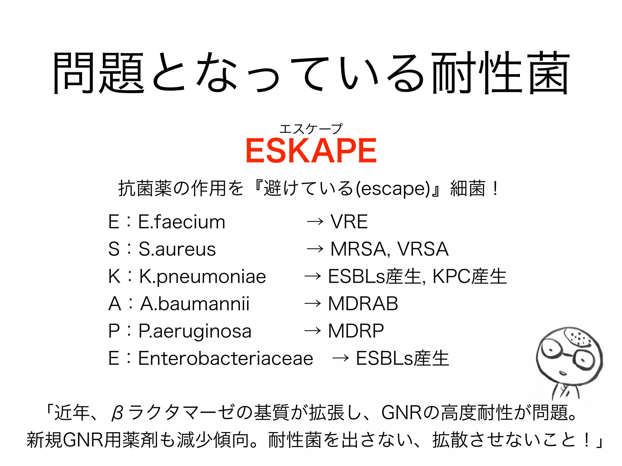 腸内細菌(科)
• 大腸内には多種多様な細菌が存在し、その細菌叢は糞便とほぼ同
じとされている。
• 1gの糞便には10
10~11
個の細菌が存在するが、そのほとんどが
Bacteroides を主とする偏性嫌気性菌である。
• E.coli を含む腸内細菌科の菌は、糞便1g中に10
6~8
個と全体の1％
にも満たないのが実際である。
• 前述の PEK と SCE が腸内細菌科で HaM は腸内細菌科ではない。
• SCE は腸内細菌科だが、健康なヒトにほとんど定着していない。
 