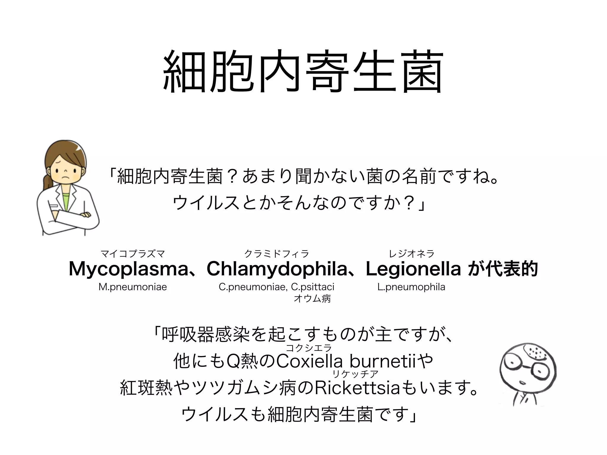 ストレプト
エンテロ
S.aureus
S.epidermidis
S.pyogenes
S.agalactiae
S.pneumoniae
E.faecalis
E.faecium
スタフィロ「すたふぃろ:ブドウ球菌」
皮膚常在菌で血流/皮膚感染の起炎菌
MRSAには注意！
「すとれぷと:レンサ球菌」
上気道の常在菌で咽頭炎/肺炎/壊死性筋膜炎
と多彩な感染症を起こす
「えんてろ:腸球菌」
弱毒菌だが感染性心内膜炎を起こす
 