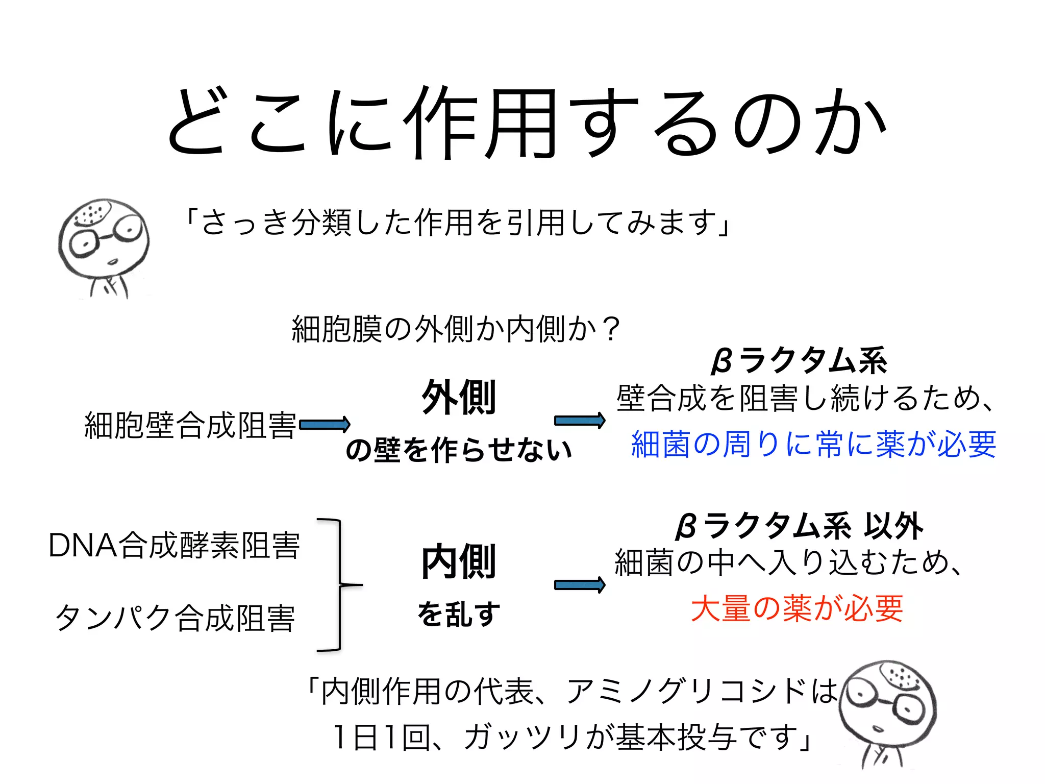 セフェム系の世代➾ 1st 2nd 3rd 4th
セフェム系抗菌薬➾ CEZ CTM
CMZ
FMOX
CTX
CTRX
SBT/
CPZ
CAZ
CFPM
CZOP
グラム陽性球菌
（MRSAと腸球菌は除く）
グラム
陰性桿菌
ESBL産生菌
は除く
PEK
HaM
SCE
PA
嫌気性菌
セフェム系の抗菌スペクトル
1st→4thと世代が上がると、グラム陰性菌への抗菌スペクトルが拡大
近年、3世代セフェムへの耐性菌が増加
B.fragilisのCMZ耐性が増加
 