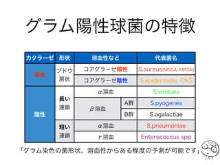 抗菌薬と細菌について改訂版