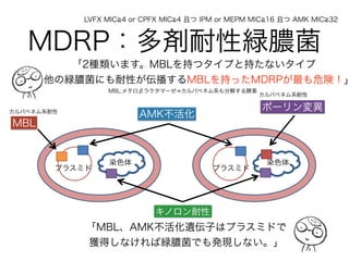 抗菌薬と細菌について改訂版