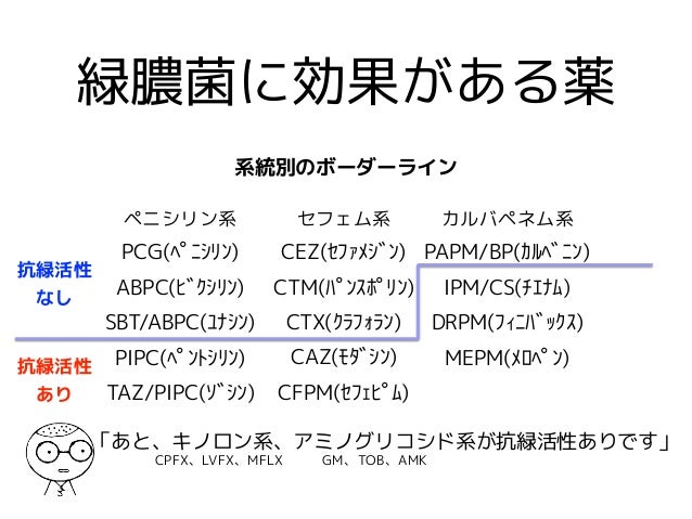 抗菌薬と細菌について改訂版