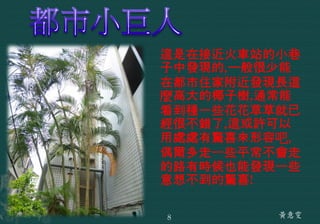 這是在接近火車站的小巷
子中發現的,一般很少能
在都市住家附近發現長這
麼高大的椰子樹,通常能
看到種一些花花草草就已
經很不錯了,這或許可以
用處處有驚喜來形容吧,
偶爾多走一些平常不會走
的路有時候也能發現一些
意想不到的驚喜!
黃意雯8
 