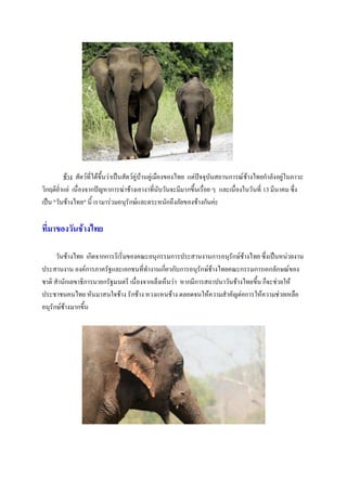 ช้าง สัตว์ที่ได้ขึ้นว่าเป็นสัตว์คู่บ้านคู่เมืองของไทย แต่ปัจจุบันสถานการณ์ช้างไทยกาลังอยู่ในภาวะ
วิกฤติย่าแย่ เนื่องจากปัญหาการฆ่าช้างเอางาที่นับวันจะมีมากขึ้นเรื่อย ๆ และเนื่องในวันที่ 13มีนาคมซึ่ง
เป็น "วันช้างไทย" นี้ เรามาร่วมอนุรักษ์และตระหนักถึงภัยของช้างกันค่ะ
ที่มาของวันช้างไทย
วันช้างไทย เกิดจากการริเริ่มของคณะอนุกรรมการประสานงานการอนุรักษ์ช้างไทย ซึ่งเป็นหน่วยงาน
ประสานงาน องค์การภาครัฐและเอกชนที่ทางานเกี่ยวกับการอนุรักษ์ช้างไทยคณะกรรมการเอกลักษณ์ของ
ชาติ สานักเลขาธิการนายกรัฐมนตรี เนื่องจากเล็งเห็นว่า หากมีการสถาปนาวันช้างไทยขึ้น ก็จะช่วยให้
ประชาชนคนไทย หันมาสนใจช้าง รักช้าง หวงแหนช้าง ตลอดจนให้ความสาคัญต่อการให้ความช่วยเหลือ
อนุรักษ์ช้างมากขึ้น
 