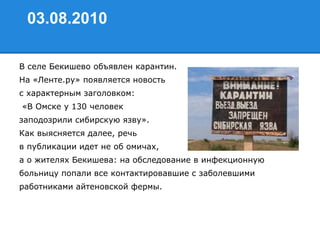 03.08.2010
В селе Бекишево объявлен карантин.
На «Ленте.ру» появляется новость
с характерным заголовком:
«В Омске у 130 человек
заподозрили сибирскую язву».
Как выясняется далее, речь
в публикации идет не об омичах,
а о жителях Бекишева: на обследование в инфекционную
больницу попали все контактировавшие с заболевшими
работниками айтеновской фермы.
 