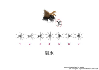 第一次 概念發想