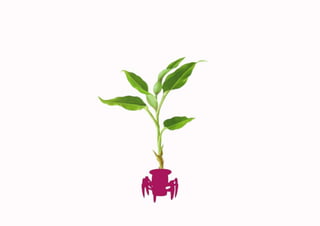 第一次 概念發想