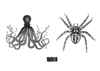 第一次 概念發想