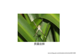 第一次 概念發想