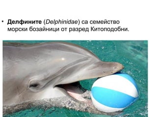 0
50
1 00
1-во
трим
.
Изток
Запад
Север
• Делфините (Delphinidae) са семейство
морски бозайници от разред Китоподобни.
 