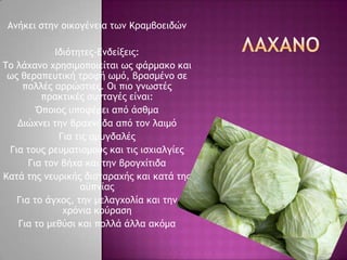 Αμήκει ρςημ ξικξγέμεια ςχμ Κοαμβξειδώμ
Ιδιόςηςεπ-Δμδείνειπ:
Σξ λάυαμξ υοηριμξπξιείςαι χπ τάομακξ και
χπ θεοαπεσςική ςοξτή χμό, βοαρμέμξ ρε
πξλλέπ αοοώρςιεπ. Οι πιξ γμχρςέπ
ποακςικέπ ρσμςαγέπ είμαι:
Όπξιξπ σπξτέοει από άρθμα
Διώυμει ςημ βοαυμάδα από ςξμ λαιμό
Για ςιπ αμσγδαλέπ
Για ςξσπ οεσμαςιρμξύπ και ςιπ ιρυιαλγίεπ
Για ςξμ βήυα και ςημ βοξγυίςιδα
Καςά ςηπ μεσοικήπ διαςαοαυήπ και καςά ςηπ
αϋπμίαπ
Για ςξ άγυξπ, ςημ μελαγυξλία και ςημ
υοόμια κξύοαρη
Για ςξ μεθύρι και πξλλά άλλα ακόμα
 