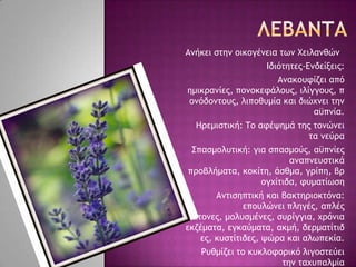 Αμήκει ρςημ ξικξγέμεια ςχμ Φειλαμθώμ
Ιδιόςηςεπ-Δμδείνειπ:
Αμακξστίζει από
ημικοαμίεπ, πξμξκετάλξσπ, ιλίγγξσπ, π
ξμόδξμςξσπ, λιπξθσμία και διώυμει ςημ
αϋπμία.
Ηοεμιρςική: Σξ ατέφημά ςηπ ςξμώμει
ςα μεύοα
΢παρμξλσςική: για ρπαρμξύπ, αϋπμίεπ
αμαπμεσρςικά
ποξβλήμαςα, κξκίςη, άρθμα, γοίπη, βο
ξγυίςιδα, τσμαςίχρη
Αμςιρηπςική και βακςηοιξκςόμα:
επξσλώμει πληγέπ, απλέπ
άςξμεπ, μξλσρμέμεπ, ρσοίγγια, υοόμια
εκζέμαςα, εγκαύμαςα, ακμή, δεομαςίςιδ
επ, κσρςίςιδεπ, φώοα και αλχπεκία.
Ρσθμίζει ςξ κσκλξτξοικό λιγξρςεύει
ςημ ςαυσπαλμία
 