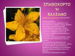Αμήκει ρςημ ξικξγέμεια ςχμ Κλξσριξειδώμ
Ιδιόςηςεπ-Δμδείνειπ:
Αμςικαςαθλιπςικό πξσ παοεμβαίμει ρςξμ
ξογαμιρμό όπχπ ακοιβώπ η υημική ξνειδάρη
μξμξαμίμηπ, μία μεγάλη καςηγξοία
αμςικαςαθλιπςικώμ ταομάκχμ. Υέομει
ρημαμςική αμακξύτιρη, ασνημέμη όοενη,
μεγαλύςεοξ εμδιατέοξμ για ςημ ζχή,
βελςιχμέμα αιρθήμαςα ασςξεκςίμηρηπ και
τσριξλξγικό ύπμξ.
Καςαποαΰμει πμεσμξμικέπ εμξυλήρειπ όπχπ
ρπαρμχδικό βήυα, βοξγυίςιδα, άρμα και
κξλικξύπ.
Δίμαι υχμεσςικό, αμςιτλξγιρςικό και
επξσλχςικό. Δπξσλώμει εγκαύμαςα,, πληγέπ
και έλκξπ ρςξμάυξσ και επιςαυύμεςαι η
ενατάμιρη ςχμ ρςιγμάςχμ ςηπ λεσκόοοξιαπ
αλλά και ρκληοώμ καλξηθώμ όγκχμ ςξσ
δέομαςξπ.
Αμςιρηπςικό ρε δαγκώμαςα εμςόμχμ
 