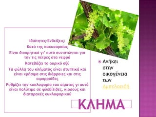 Ιδιόςηςεπ-Εμδείνειπ:
Καςά ςηπ παυσραοκίαπ
Είμαι διξσοηςικά γι’ ασςό ρσμιρςώμςαι για
ςημ ςιπ πέςοεπ ρςα μετοά
Καςεβάζει ςξ ξσοικό ξνύ
Τα τύλλα ςξσ κλήμαςξπ είμαι ρςσπςικά και
είμαι υοήριμα ρςιπ διάοοξιεπ και ρςιπ
αιμξοοξΐδεπ
Ρσθμίζει ςημ κσκλξτξοία ςξσ αίμαςξπ γι ασςό
είμαι πξλύςιμα ρε τλεβίςιδεπ, κιορξύπ και
διαςαοαυέπ κσκλξτξοικξύ
ΚΛΗΜΑ
 Αμήκει
ρςημ
ξικξγέμεια
ςχμ
Αμπελξειδή
 