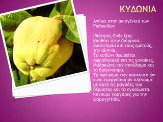 Αμήκει ρςημ ξικξγέμεια ςχμ
Ρξδξειδώμ
Ιδιόςηςεπ-Δμδείνειπ:
Βξηθάει ρςημ διάοοξια,
δσρεμςεοία και ςξσπ εμεςξύπ,
ςημ αϋπμία.
Σξ κσδώμι θεχοείςαι
ατοξδιριακό για ςιπ γσμαίκεπ.
Μαλακώμει ςξμ πξμόλαιμξ και
ςξ βοάυμιαρμα.
Σξ ατέφημα ςχμ κξσκξσςριώμ
είμαι εσεογεςικό αμ πλέμξσμε
με ασςό ςιπ οαγάδεπ ςξσ
δέομαςξπ και ςα εγκαύμαςα.
Κάμξσμε γαογάοεπ για ςημ
ταοσγγίςιδα.
 