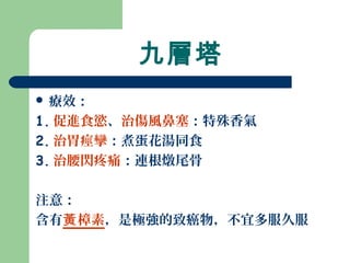 九層塔
 療效：
1. 促進食慾、治傷風鼻塞：特殊香氣
2. 治胃痙攣：煮蛋花湯同食
3. 治腰閃疼痛：連根燉尾骨
注意：
含有 樟素黃 ，是極強的致癌物，不宜多服久服
 