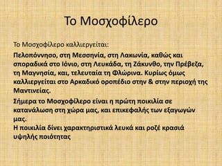 Το Μοςχοφίλερο
Το Μοςχοφίλερο καλλιεργείται:
Πελοπόννθςο, ςτθ Μεςςθνία, ςτθ Λακωνία, κακϊσ και
ςποραδικά ςτο Ιόνιο, ςτθ Λευκάδα, τθ Ζάκυνκο, τθν Πρζβεηα,
τθ Μαγνθςία, και, τελευταία τθ Φλϊρινα. Κυρίωσ όμωσ
καλλιεργείται ςτο Αρκαδικό οροπζδιο ςτθν & ςτθν περιοχι τθσ
Μαντινείασ.
΢ιμερα το Μοςχοφίλερο είναι θ πρϊτθ ποικιλία ςε
κατανάλωςθ ςτθ χϊρα μασ, και επικεφαλισ των εξαγωγϊν
μασ.
Η ποικιλία δίνει χαρακτθριςτικά λευκά και ροηζ κραςιά
υψθλισ ποιότθτασ
 