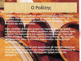 Ο Ροδίτησ
Ο Ροδίτθσ είναι μια κακαρά οινοποιιςιμθ αλλά και βρϊςιμθ
ποικιλία που καλλιεργείται ςε 34 νομοφσ τθσ Ελλάδασ, Οι
μεγαλφτεροι αμπελϊνεσ βρίςκονται ςτθν Αιγιαλεία, ςτθ
Βοιωτία και ςτθ Θεςςαλία.
Είναι ποικιλία ιδιαίτερα ηωθρι και παραγωγικι, με αραιά
ςταφφλια μεγάλου ςυνικωσ μεγζκουσ και ράγεσ ρόδινεσ προσ
το τζλοσ τθσ ωρίμανςθσ και αρχικά λευκοπράςινεσ. Προτιμά
εδάφθ ελαφρά, αςβεςτϊδθ, μζςθσ γονιμότθτασ, και περιοχζσ
με υψόμετρο, όπου θ ποικιλία παρουςιάηει τον καλφτερο
χαρακτιρα τθσ.
Σα κραςιά που δίνονται από αμπελϊνεσ ςε ςχετικό υψόμετρο
είναι αξιόλογα με μζτρια και ιςορροπθμζνθ περιεκτικότθτα ςε
αλκοόλθ και οξφτθτα, με πλοφςια και ηωθρι γεφςθ και
αρϊματα.
 