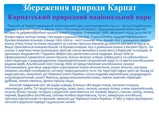 українське чудо карпати учнівська | PPT