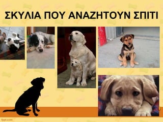 ΢ΚΤΛΗΑ ΠΟΤ ΑΝΑΕΖΣΟΤΝ ΢ΠΗΣΗ
 