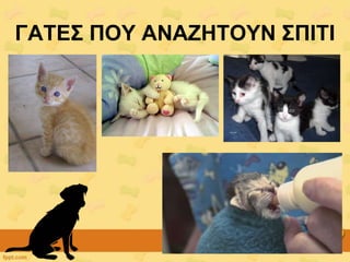 ΓΑΣΔ΢ ΠΟΤ ΑΝΑΕΖΣΟΤΝ ΢ΠΗΣΗ
 