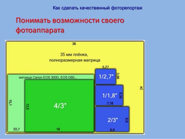 Количество выделенных грантов