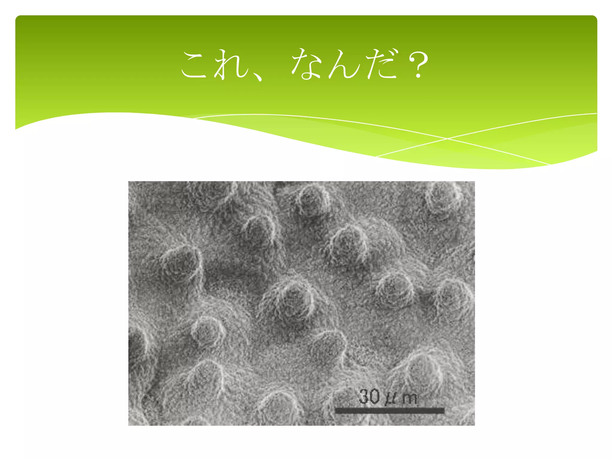 これ、なんだ？
 