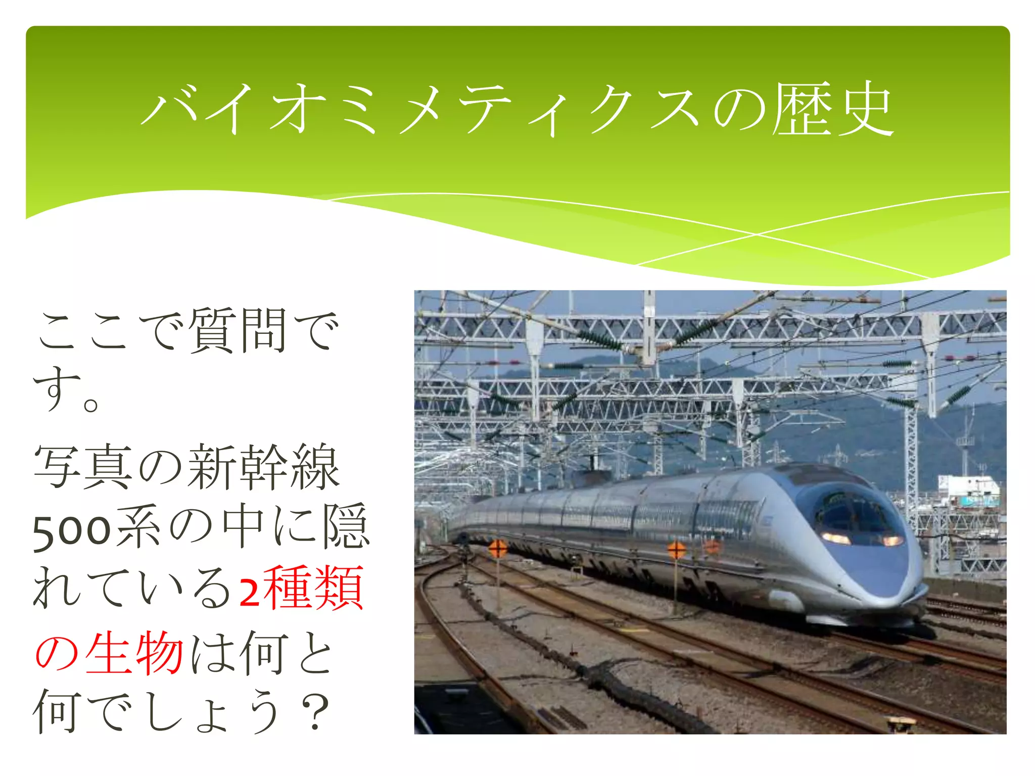 ここで質問で
す。
写真の新幹線
500系の中に隠
れている2種類
の生物は何と
何でしょう？
バイオミメティクスの歴史
 
