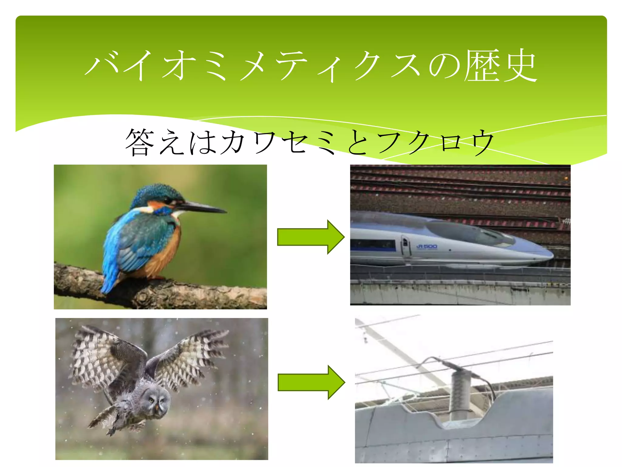 バイオミメティクスの歴史
答えはカワセミとフクロウ
 