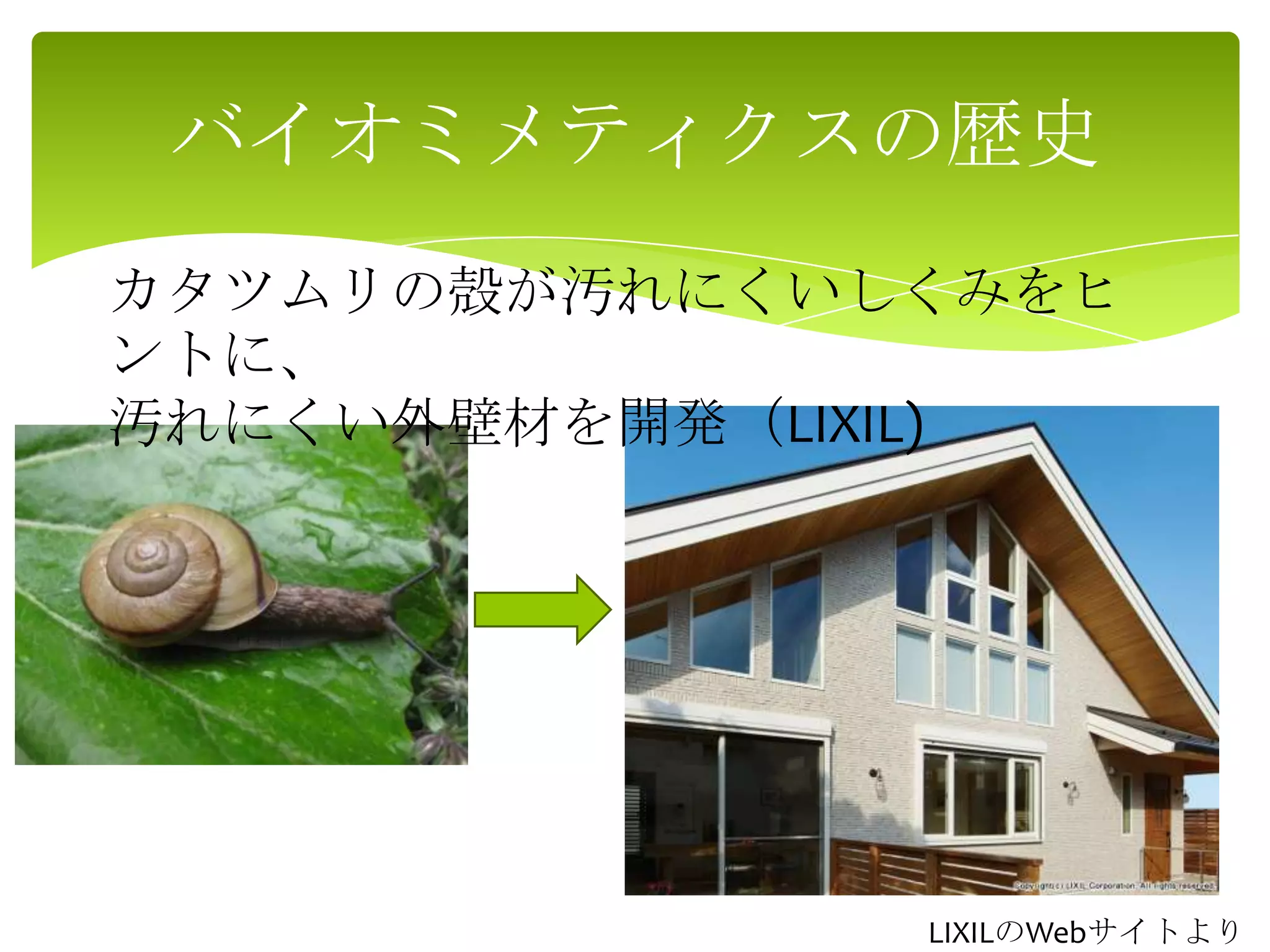 バイオミメティクスの歴史
カタツムリの殻が汚れにくいしくみをヒ
ントに、
汚れにくい外壁材を開発（LIXIL)
LIXILのWebサイトより
 