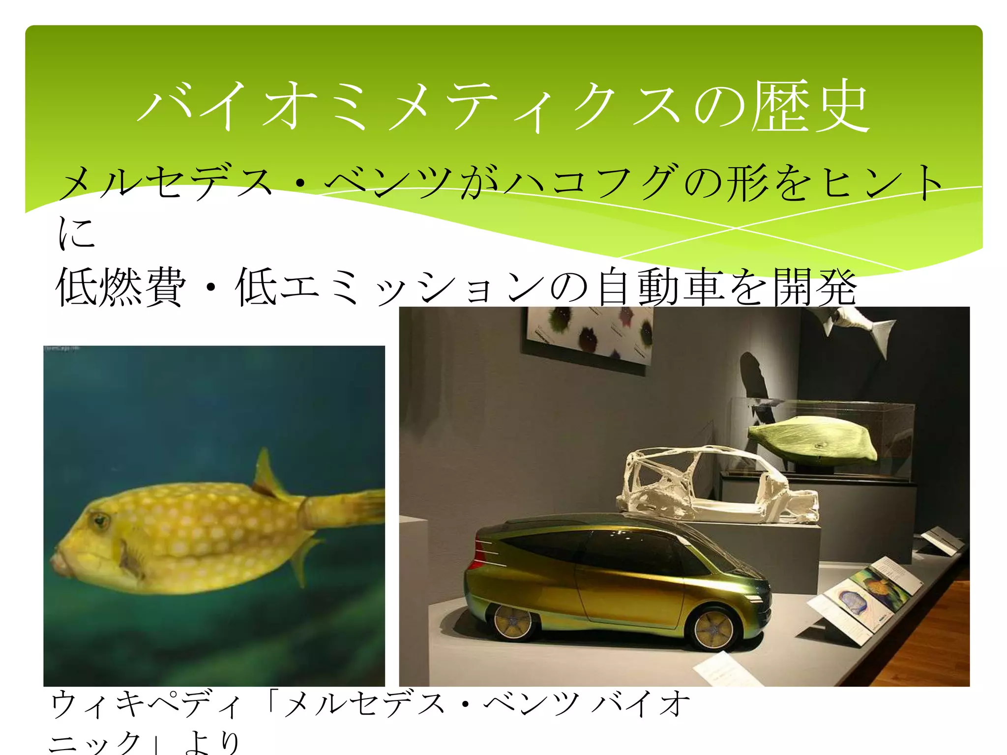 バイオミメティクスの歴史
ウィキペディ「メルセデス・ベンツ バイオ
メルセデス・ベンツがハコフグの形をヒント
に
低燃費・低エミッションの自動車を開発
 