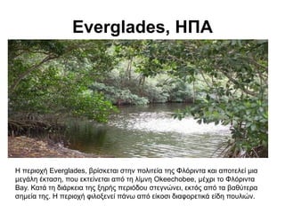 Everglades, ΗΠΑ
Η πεξηνρή Everglades, βξίζθεηαη ζηελ πνιηηεία ηεο Φιόξηληα θαη απνηειεί κηα
κεγάιε έθηαζε, πνπ εθηείλεηαη ...
