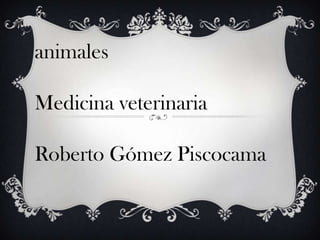 animales
Medicina veterinaria
Roberto Gómez Piscocama
 