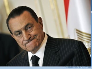 It is not the strongest of the
species that survive, nor the
most intelligent, but the one
most responsive to change.
- Charles Darwin
 