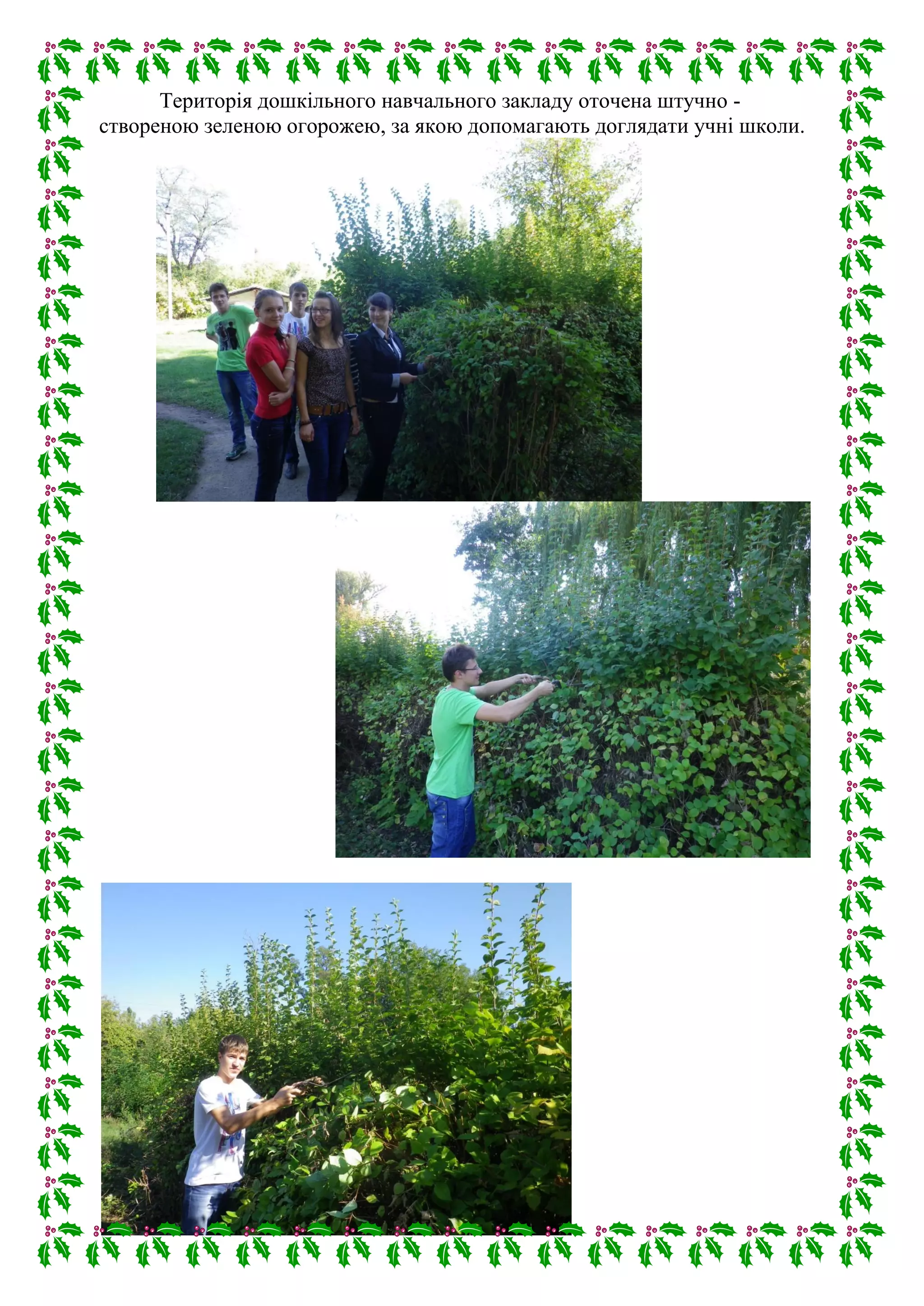Територія дошкільного навчального закладу оточена штучно -
створеною зеленою огорожею, за якою допомагають доглядати учні школи.
 