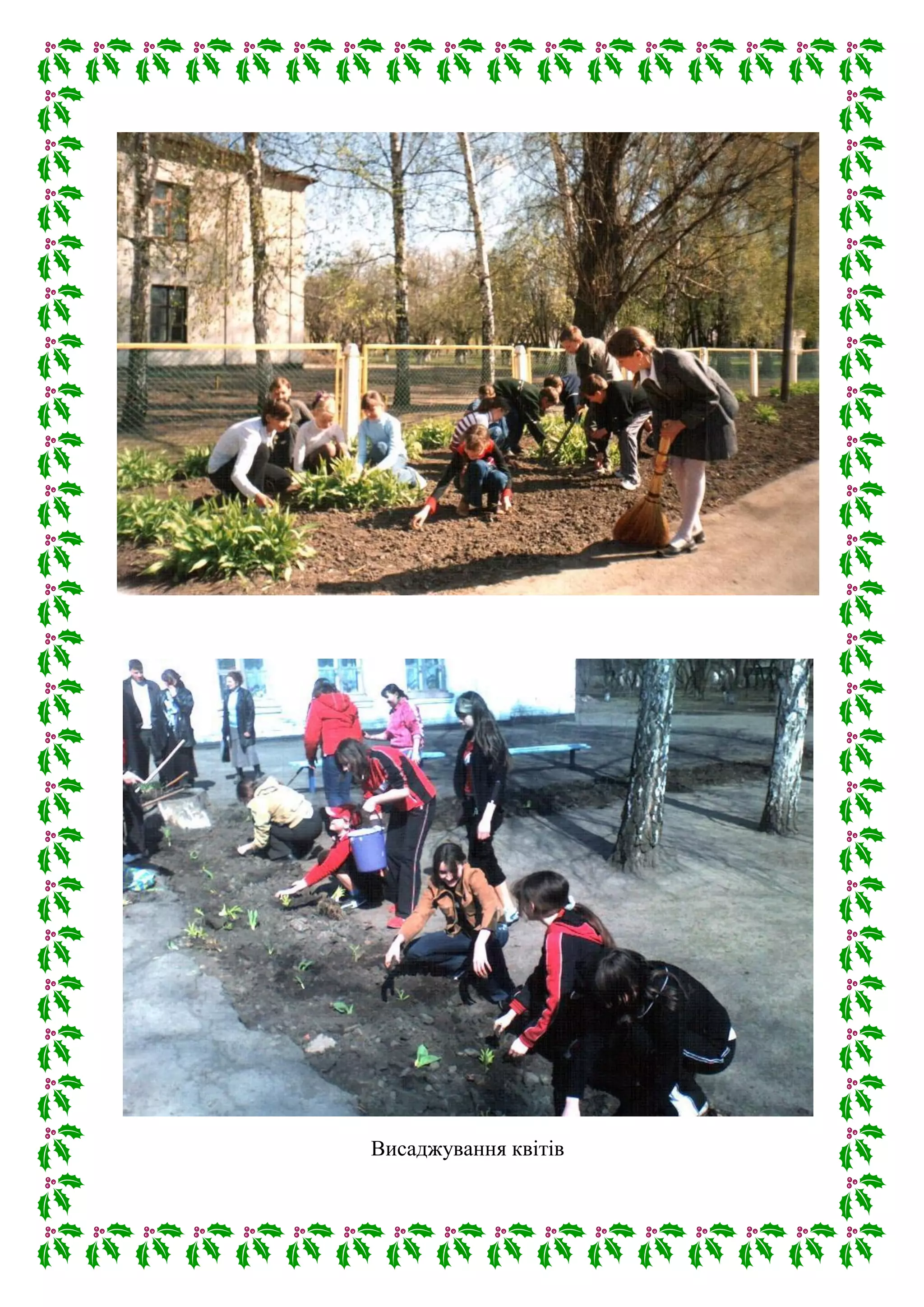 Висаджування квітів
 