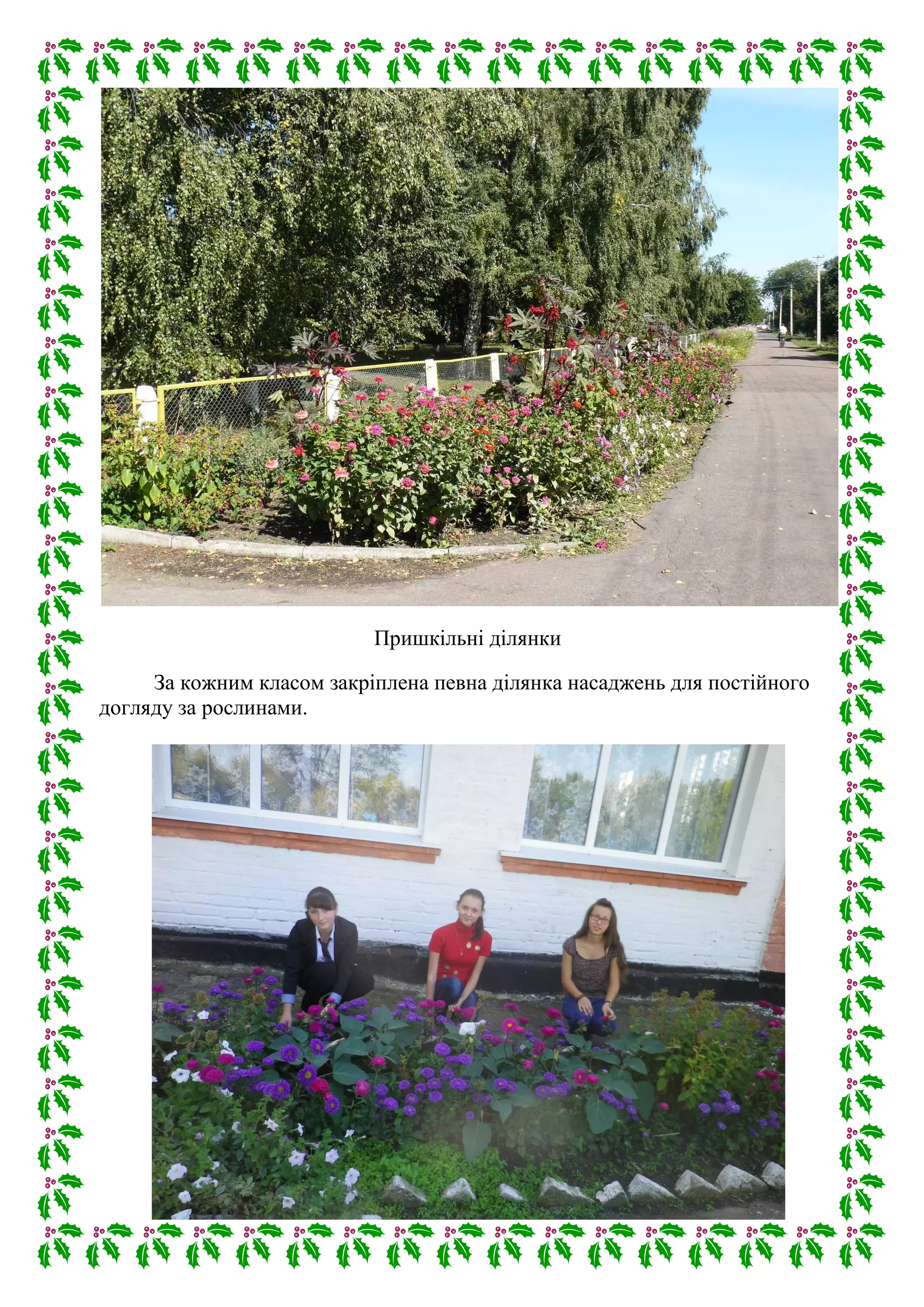 Пришкільні ділянки
За кожним класом закріплена певна ділянка насаджень для постійного
догляду за рослинами.
 
