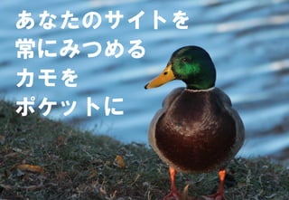 0【Confidential】Copyright (C) CREATIVEHOPE,Inc. All Rights Reserved.
あなたのサイトを
常にみつめる
カモを
ポケットに
 