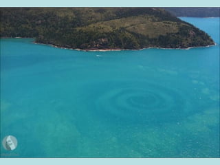 أفضل الصور لمجلة ناشيونال جيوغرافيك