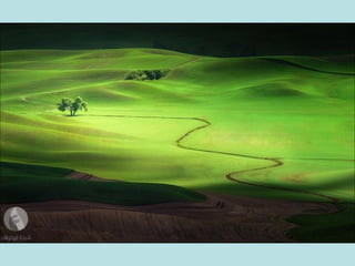 أفضل الصور لمجلة ناشيونال جيوغرافيك