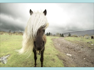 أفضل الصور لمجلة ناشيونال جيوغرافيك