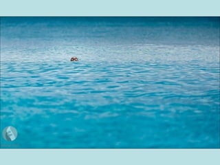 أفضل الصور لمجلة ناشيونال جيوغرافيك