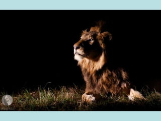 أفضل الصور لمجلة ناشيونال جيوغرافيك